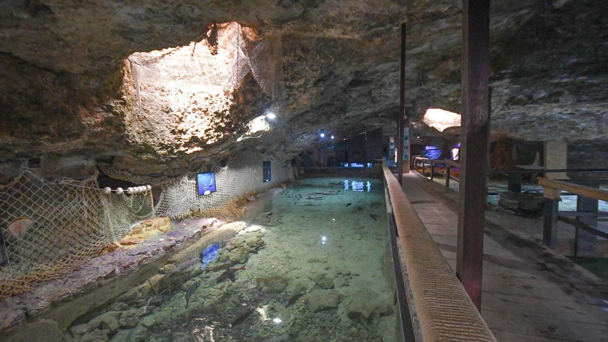 Acuario Des Cap Blanc En Sant Antoni.