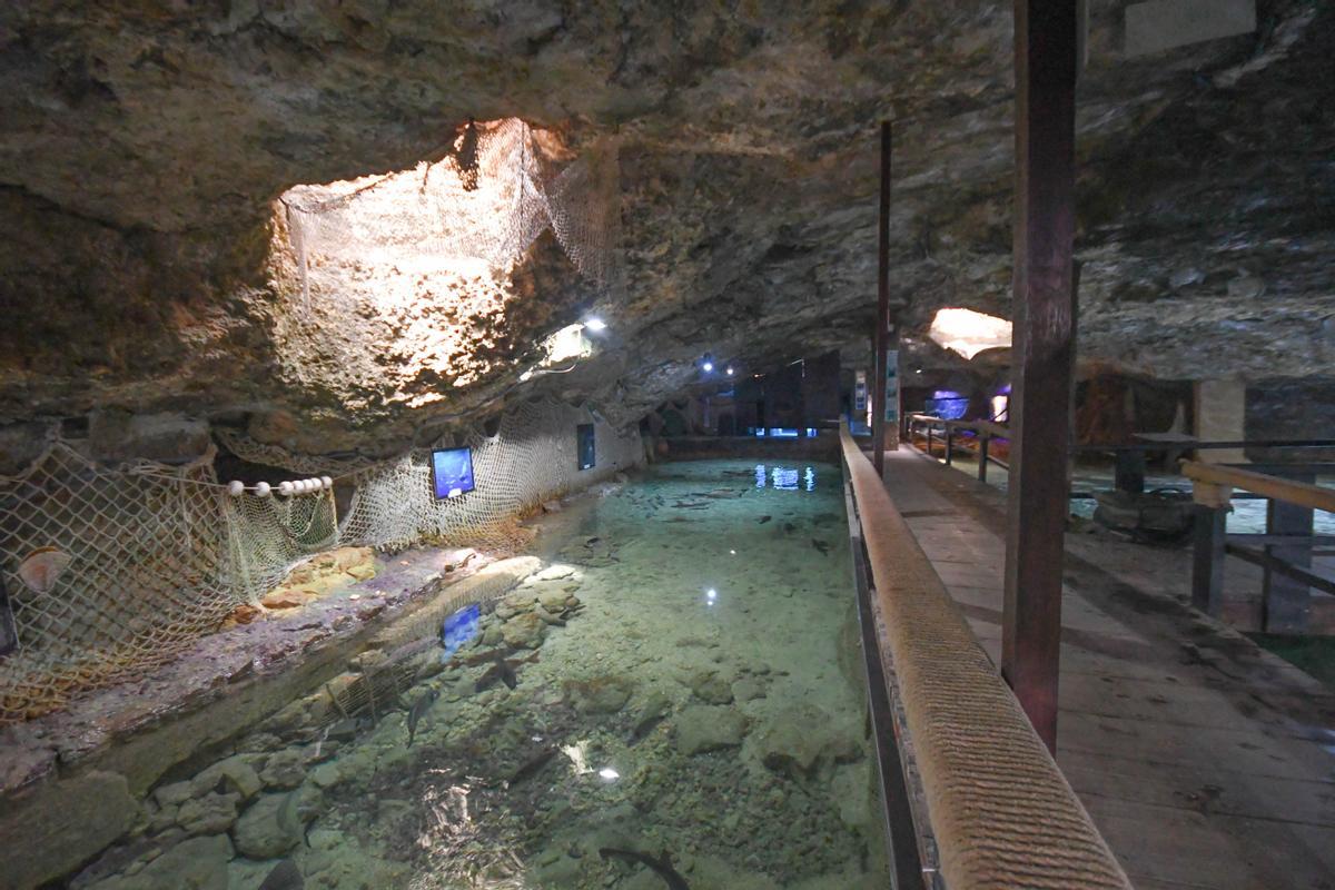 Galería de imágenes del acuario des Cap Blanc en Sant Antoni, en Ibiza