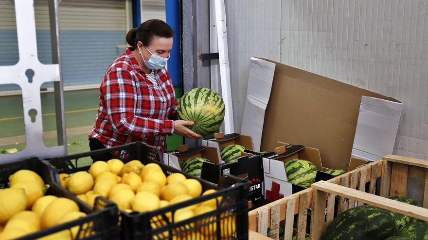 Una trabajadora en los almacenes de fruta de Mercamálaga.