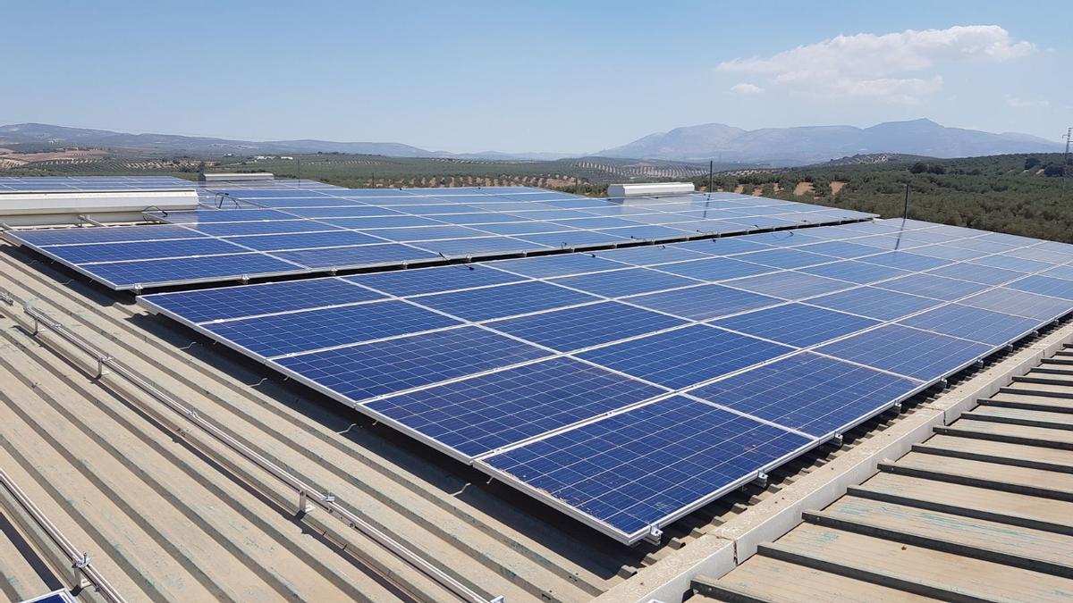Los paneles fotovoltaicos generan electricidad de una manera «limpia y sostenible».