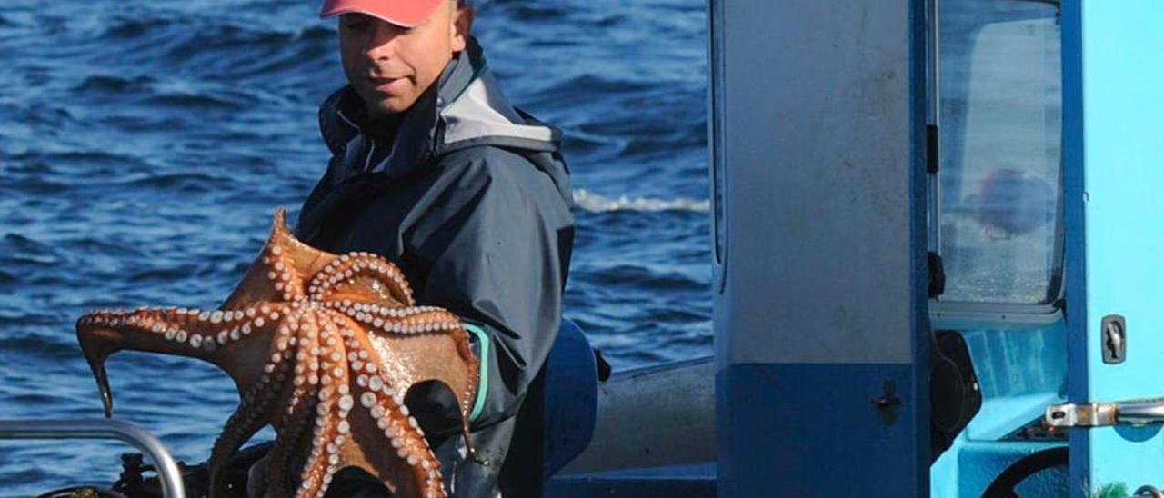 Pesca del pulpo en Arousa. // I. Abella