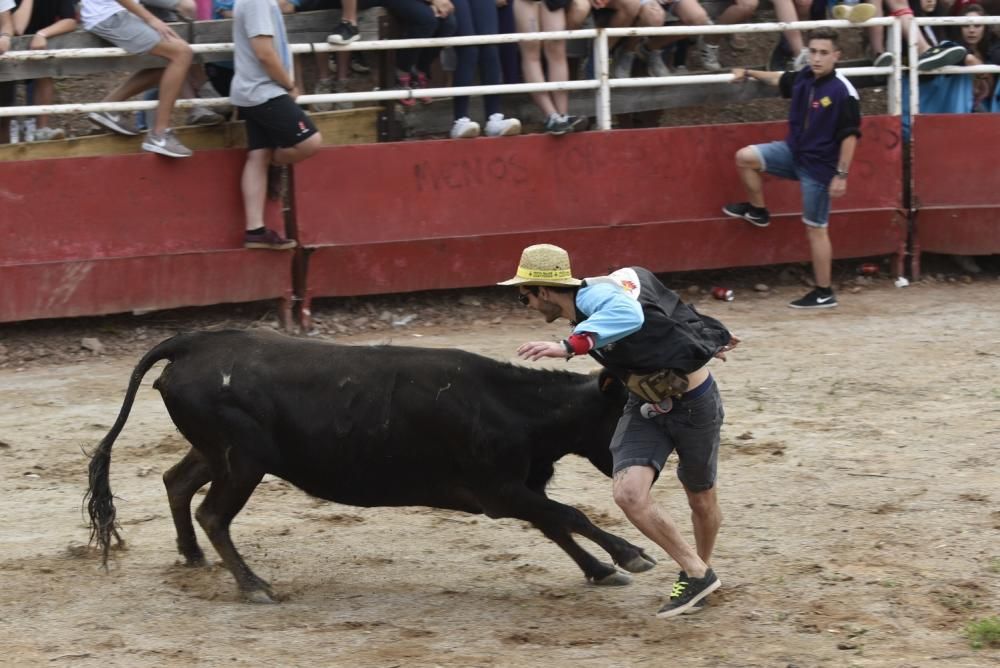 Vaquetes de Santpedor 2018