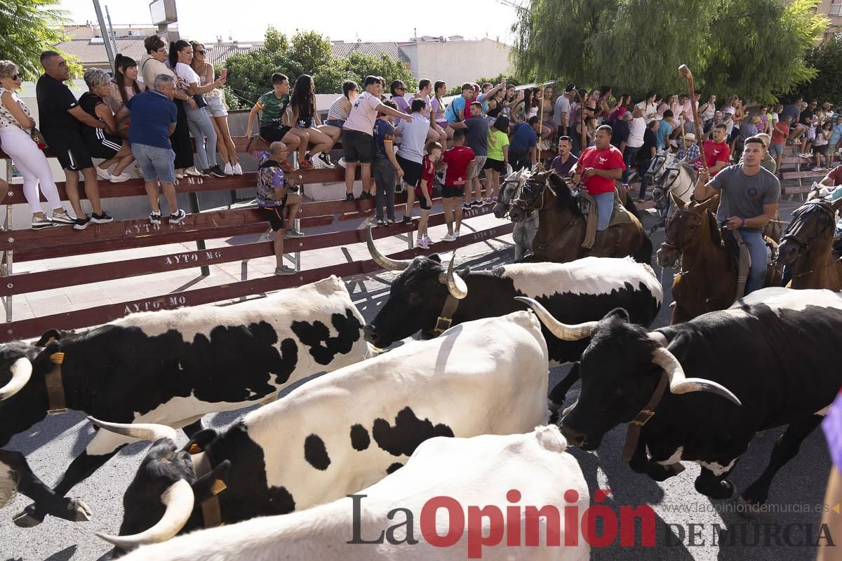 Primer encierro de las Fiestas de Moratalla