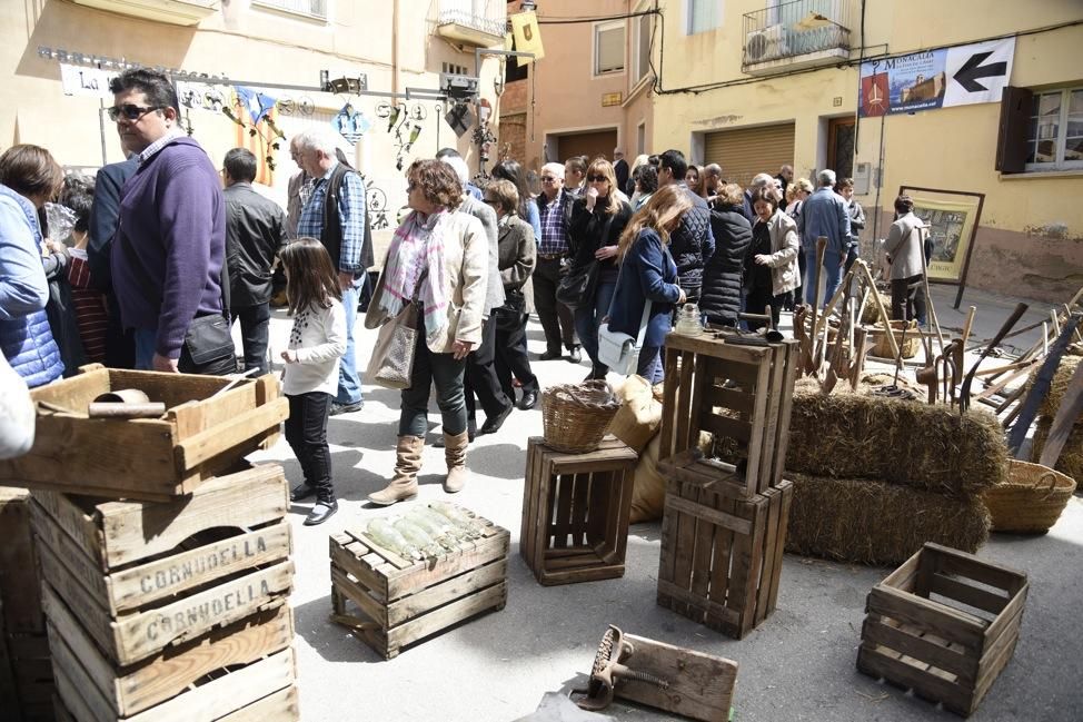 Monacàlia, fira de l''Abat a Navarcles. Jornada de diumenge