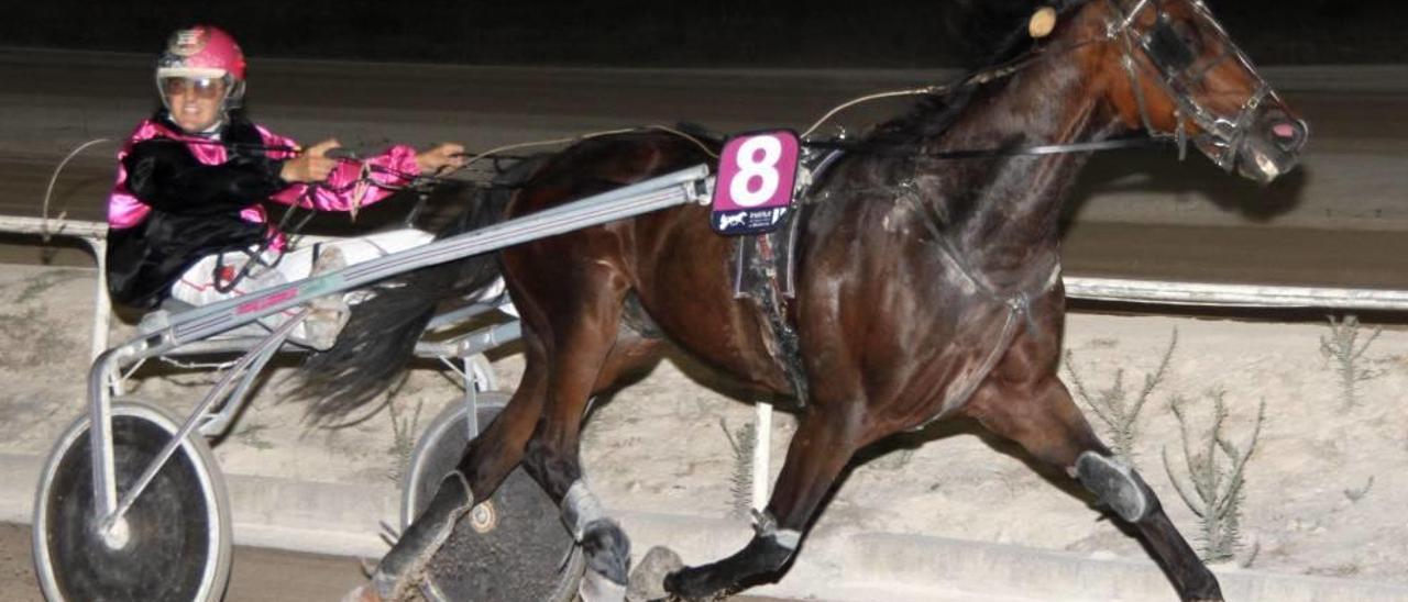 El veterano Nommel Crack en una de sus victorias en Manacor, dirigido por Joan Fluxá.