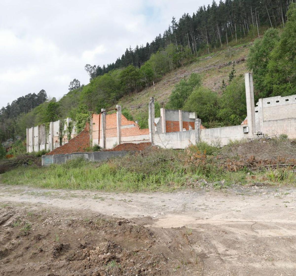 Terrenos donde se construirá el futuro albergue de animales. | M. V.