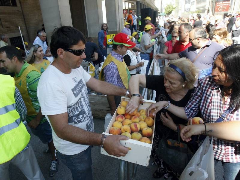 El sector reparte 4.000 kilos de fruta en la Plaza del Pilar