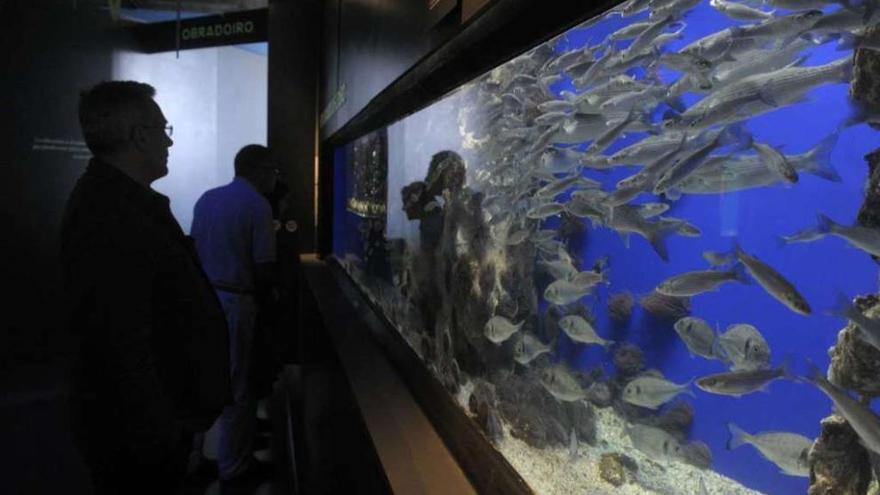 Uno de los tanques de la Casa de los Peces.