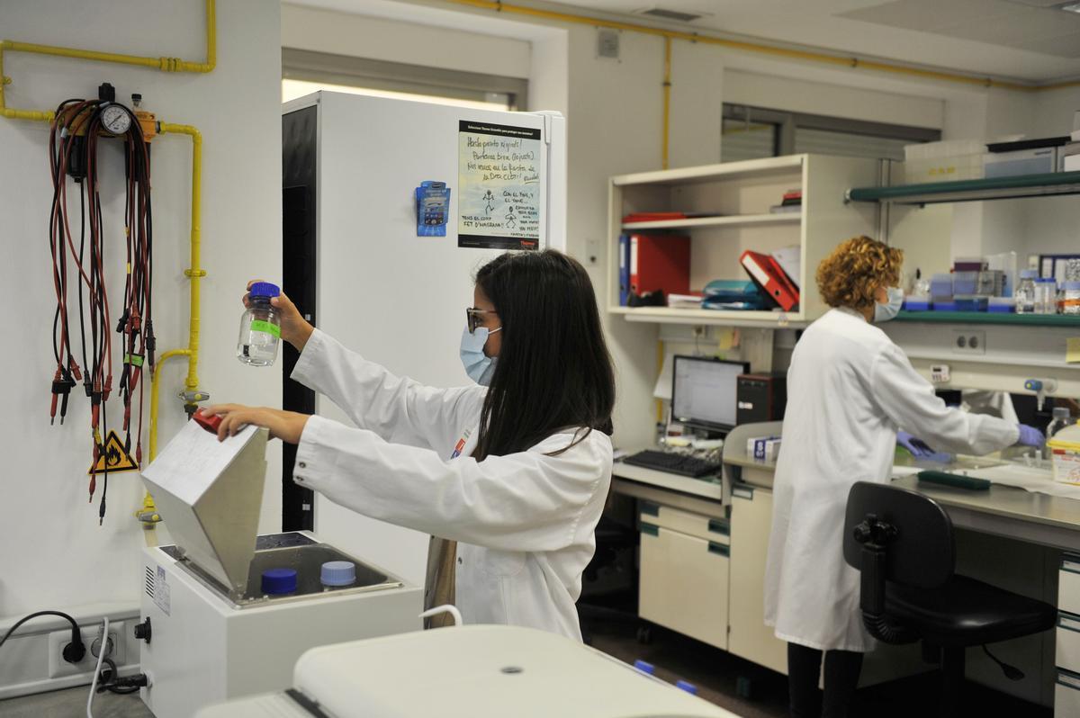 Investigadores de un proyecto de inmunoterapia para el cáncer. en el Instituto de Biotecnología­ de la Universidad Miguel Hernández de Alicante.