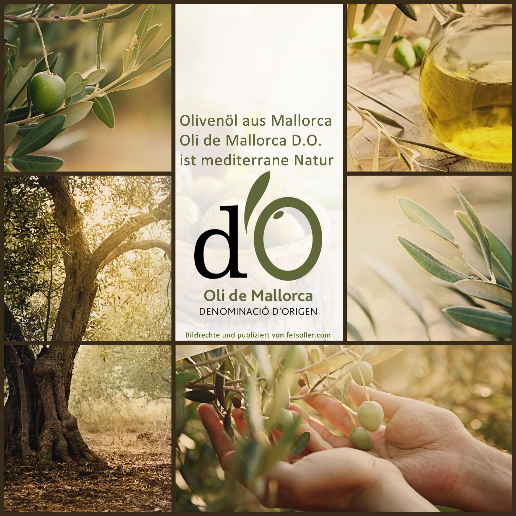 Olivenöl von Mallorca