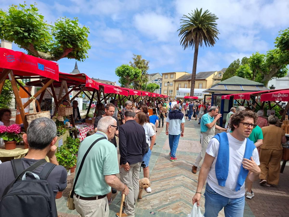 En imágenes: La primera feria de jardinería del Occidente llena La Caridad de color y buen ambiente