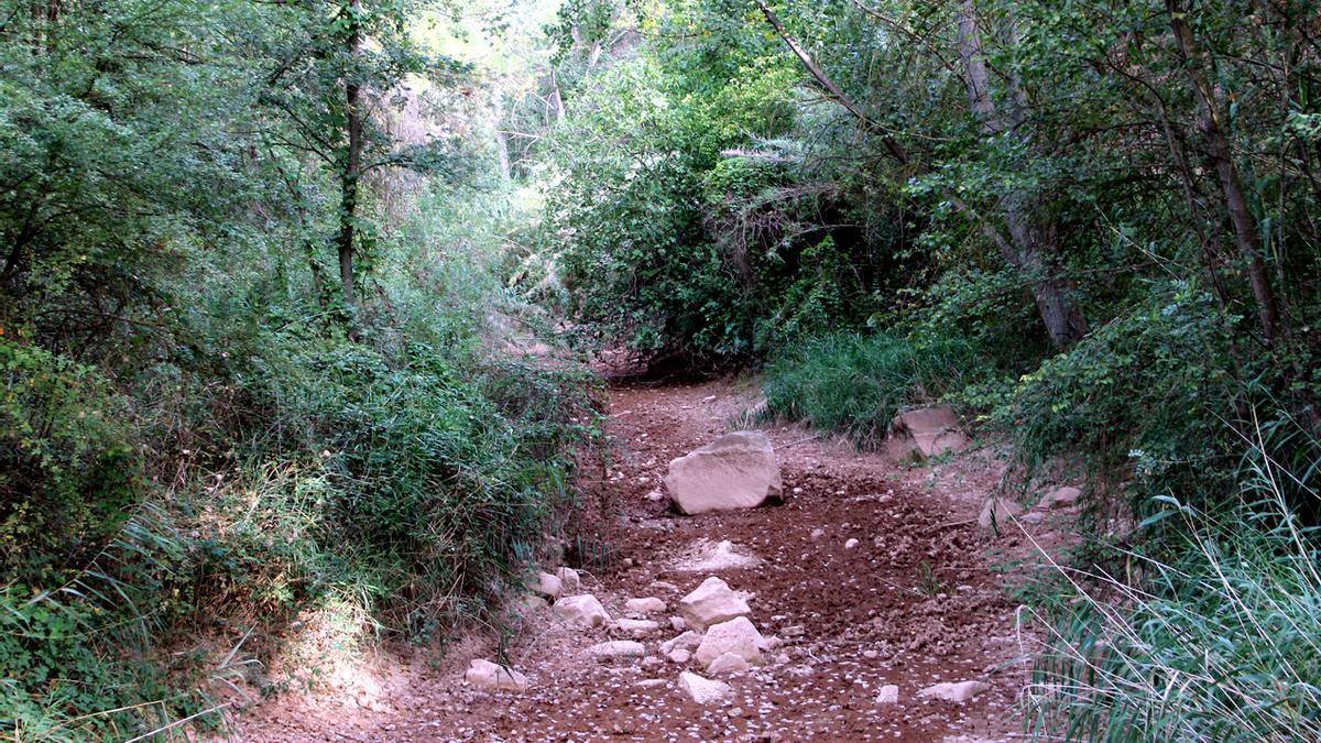 La riera de Rajadell seca a la Suanya.