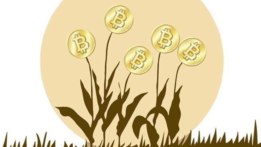 Bitcoin, el tulipán digital