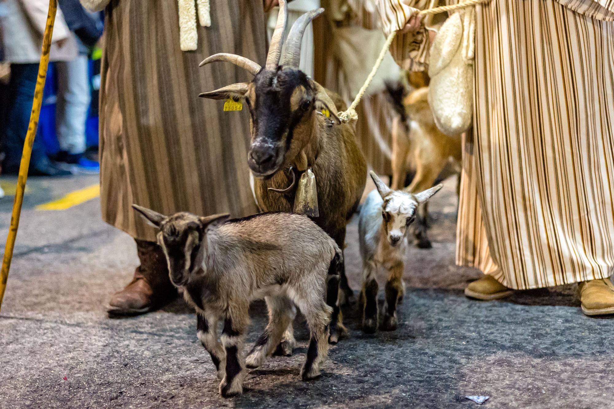 Cabalgata Reyes Magos 28.jpg