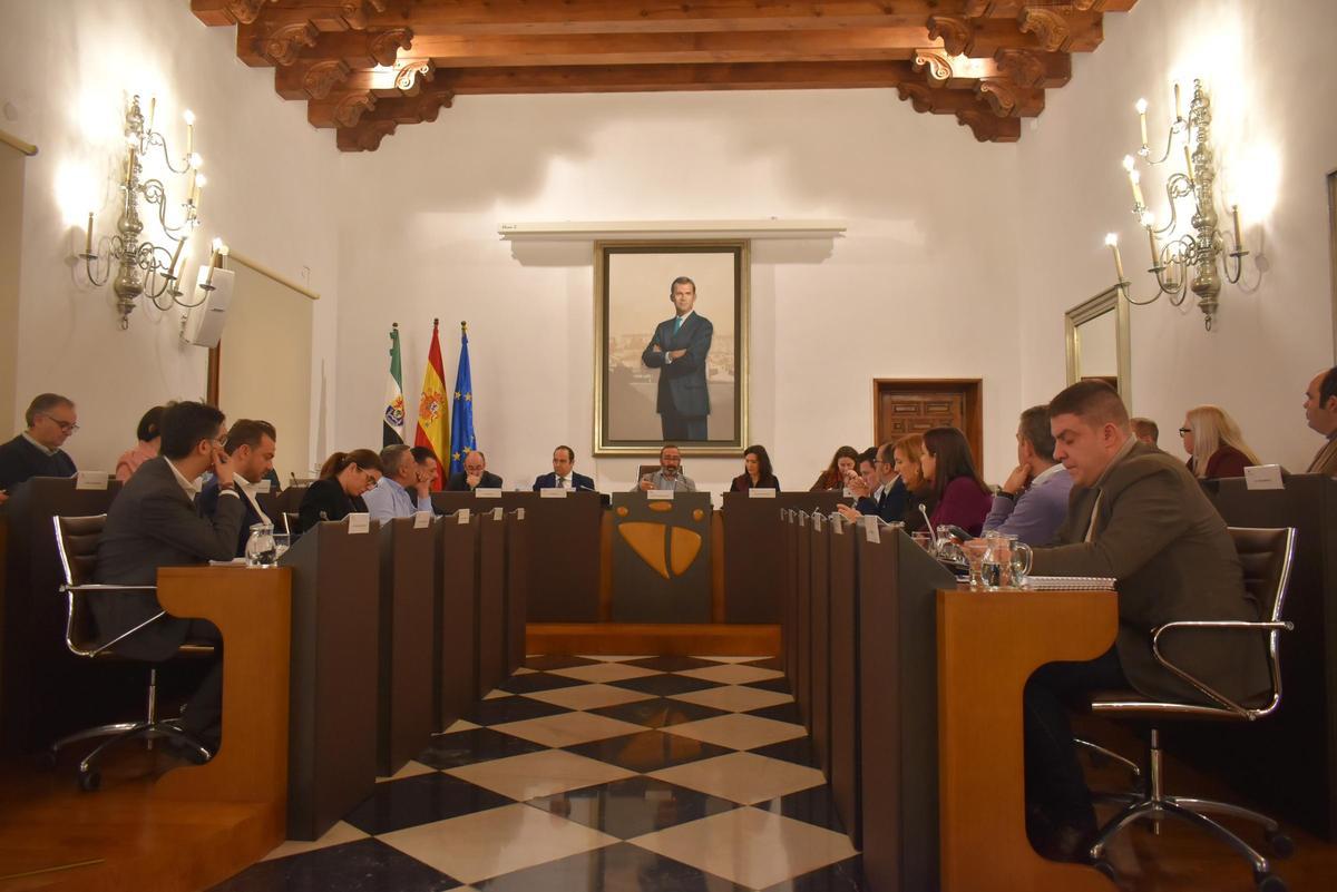 Imagen de la sesión plenaria de enero.