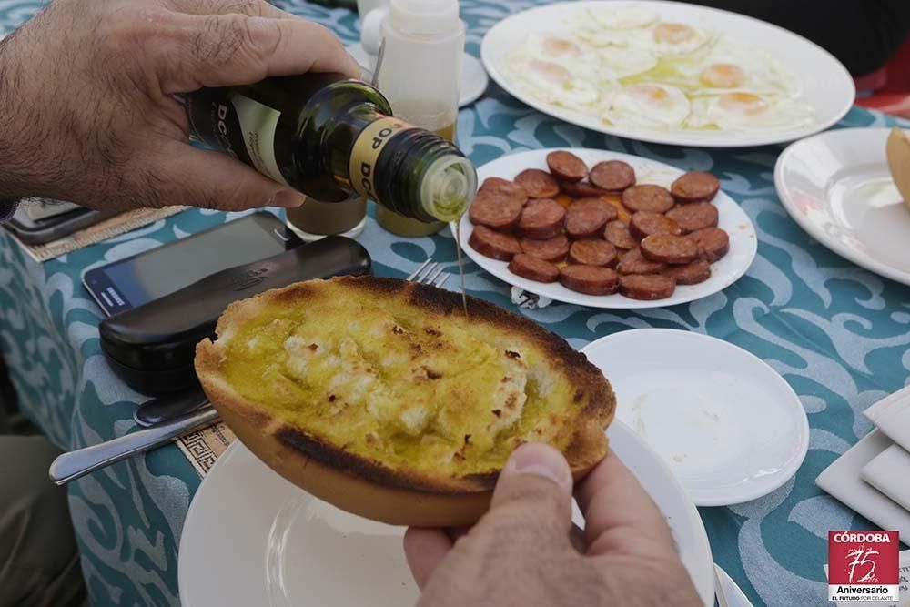 La ruta de Munda, un viaje por la Córdoba Romana