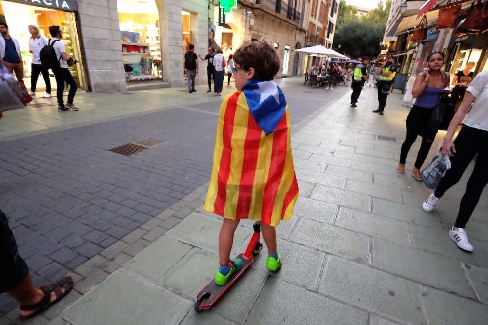 Unas 3.500 personas se manifiestan en Palma a favor del "derecho a decidir de los catalanes"