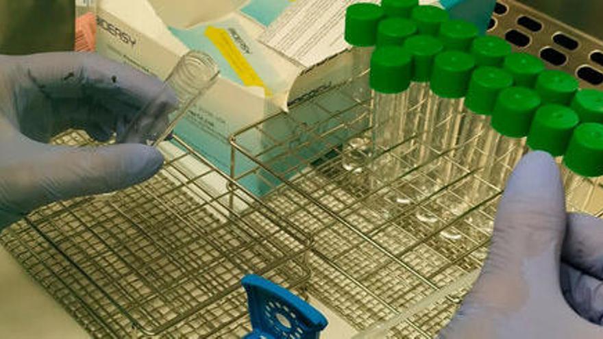 Una persona analitzant proves de PCR als laboratoris de l&#039;hospital de Palamós