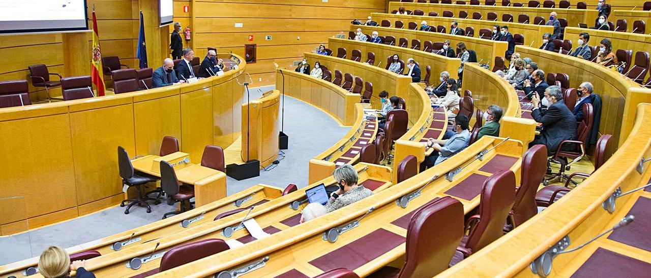 Varios senadores, durante el X Foro de las Autonomías celebrado ayer en la Cámara Alta.  | LEVANTE-EMV