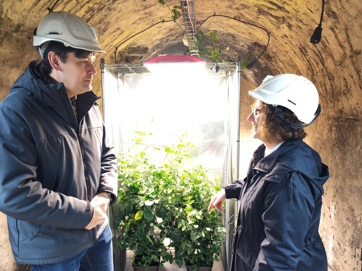 Borja Sánchez y Mamen Oliván en la planta de agricultura minera del Pozo Carrio, en Laviana