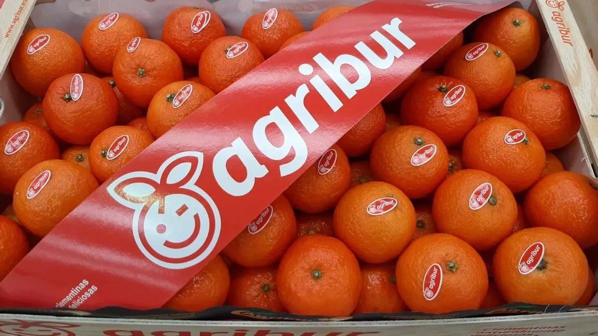 Una caja de mandarinas de Agribur.