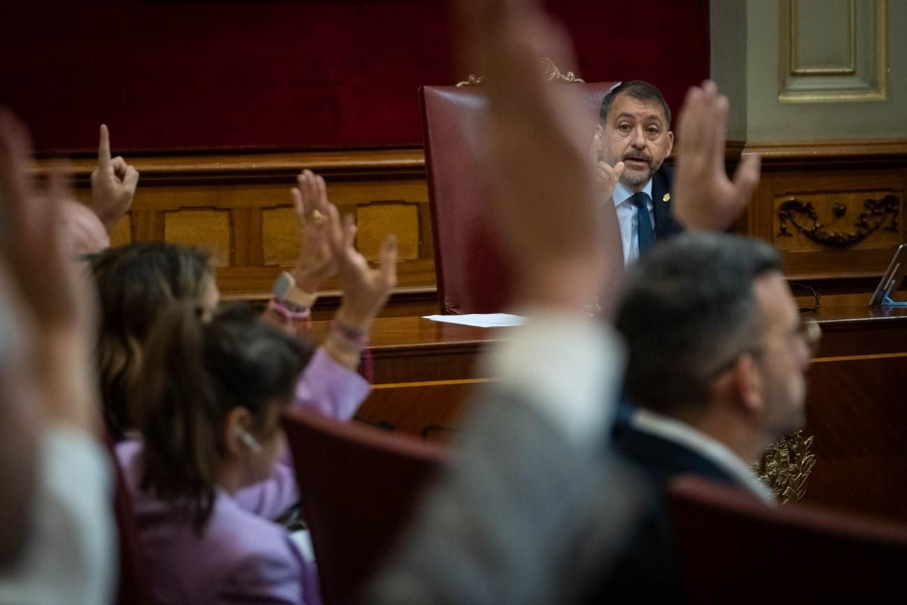 Pleno del Ayuntamiento de Santa Cruz de Tenerife del 29 de noviembre de 2024