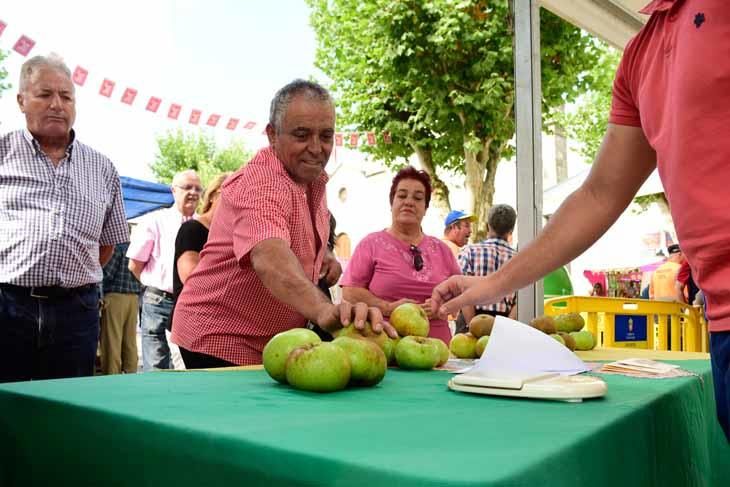 Fiesta de la manzana de Valleseco