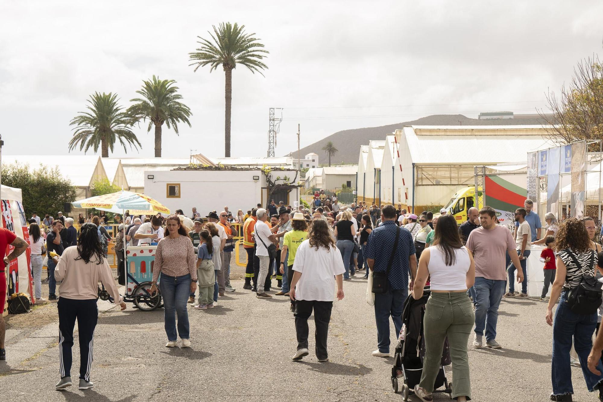 XXXII Edición del Concurso y Exposición de Ganado Selecto
