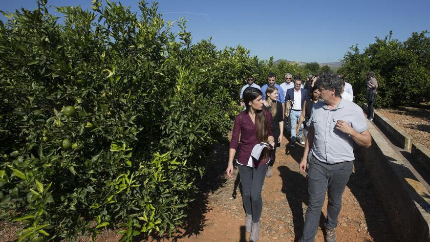 Un nuevo riego eficiente prevé ahorrar 800 millones de litros de agua en 750 ha. de cítricos