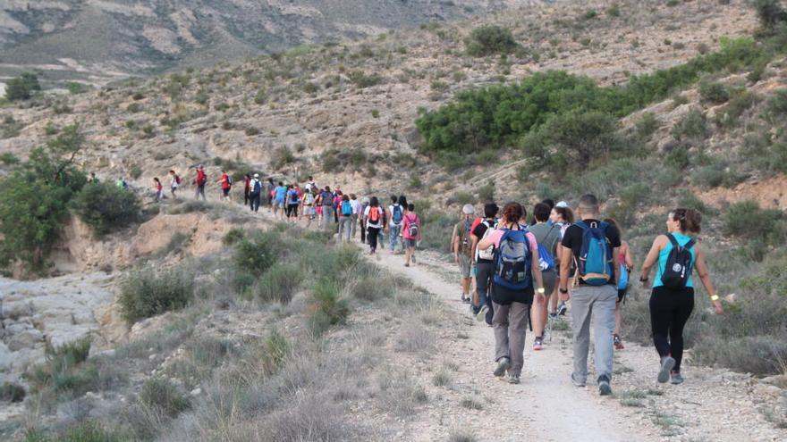 La ruta a pie celebrada la Semana de la Movilidad del año pasado.