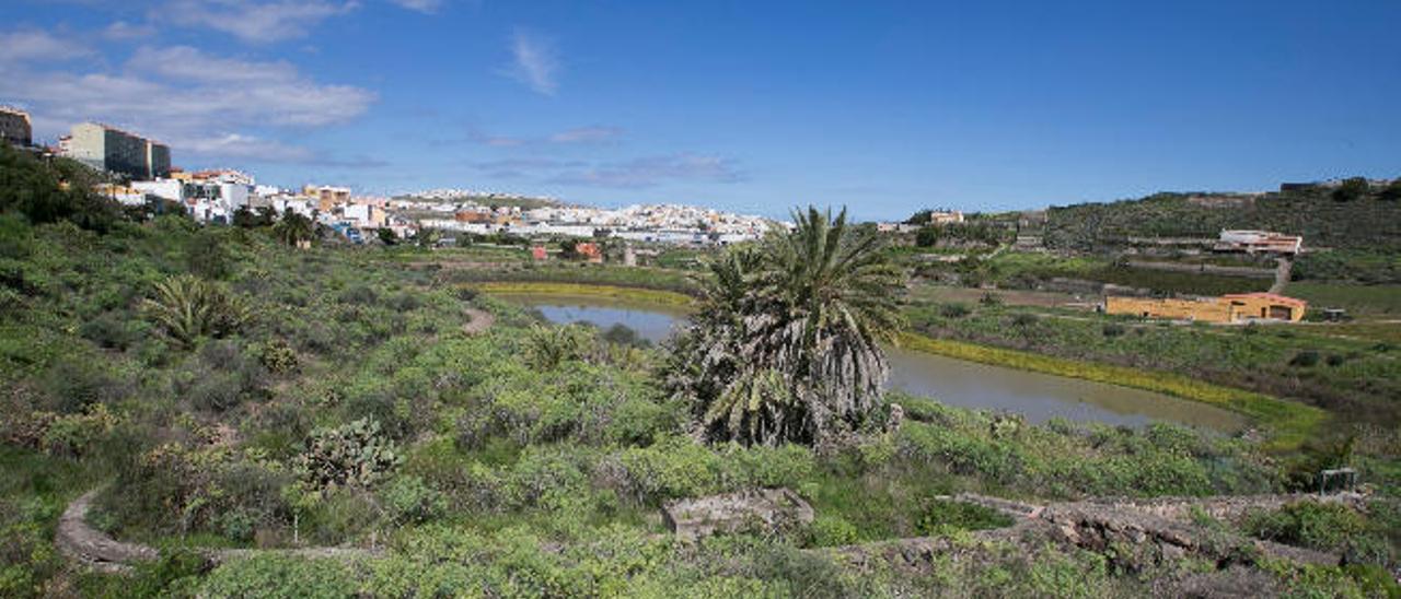 Tamaraceite quiere recuperar la idea del parque de las charcas de San Lorenzo