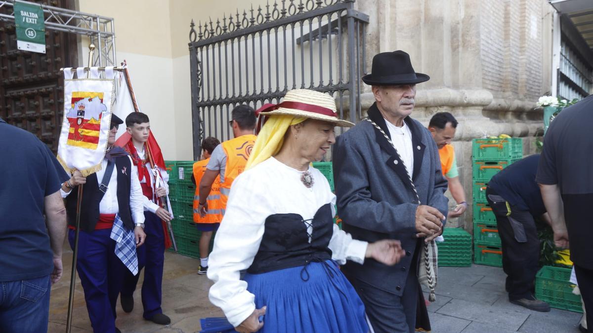 Búscate en la Ofrenda de Frutos 2023 en Zaragoza