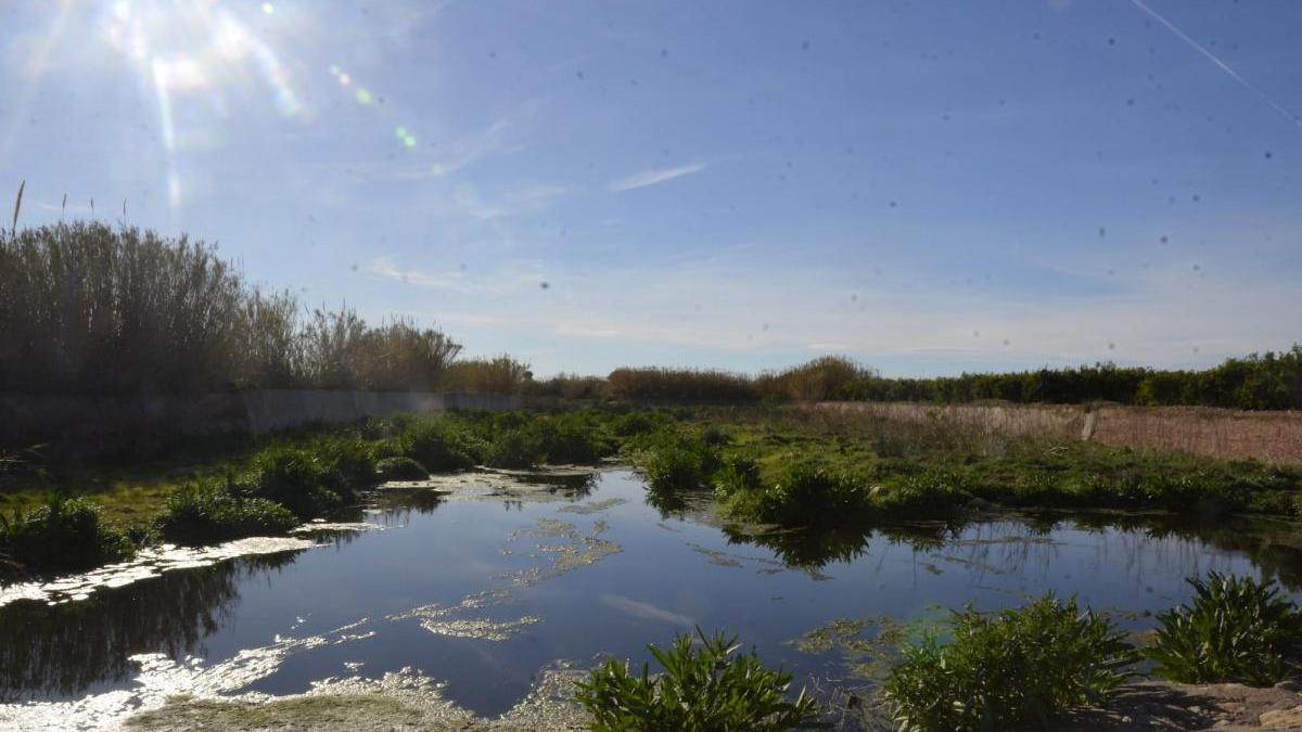 Urgen limpiar el río Belcaire en el tramo que cruza Moncofa