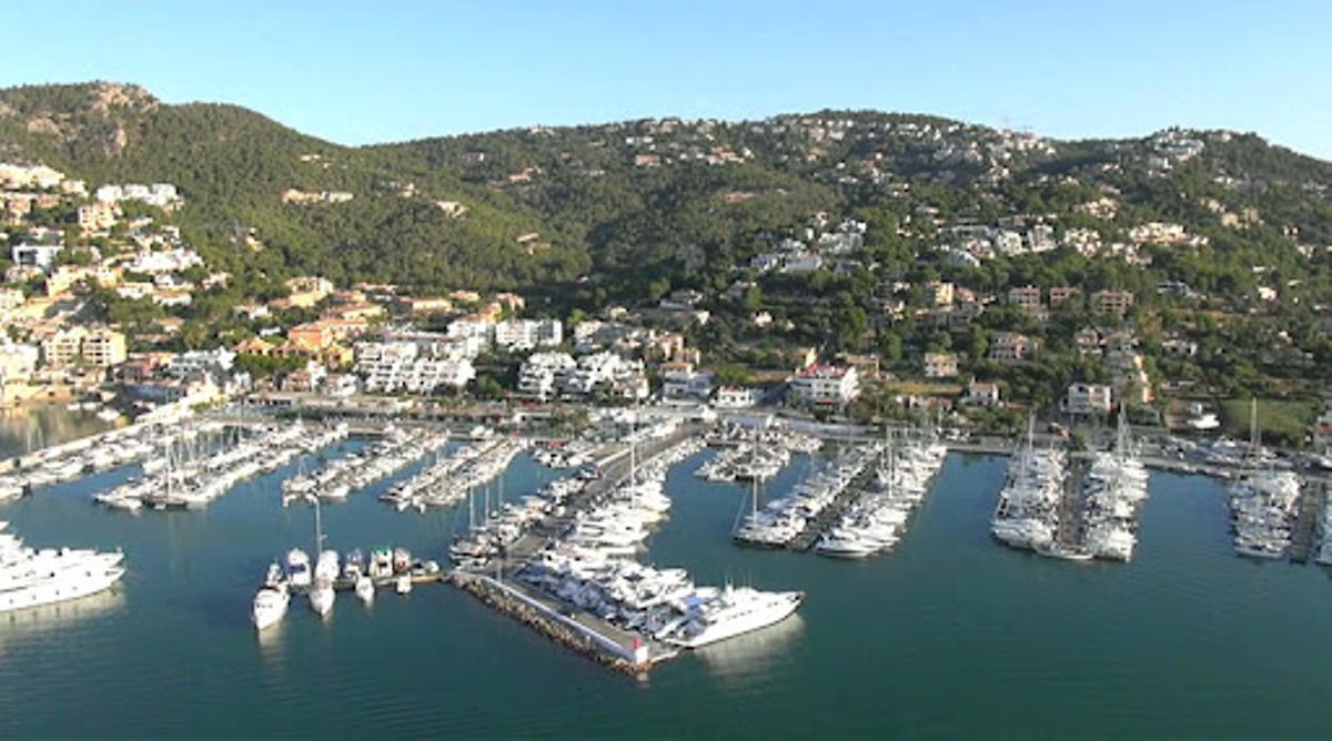 Imagen de los amarres del Port d'Andratx