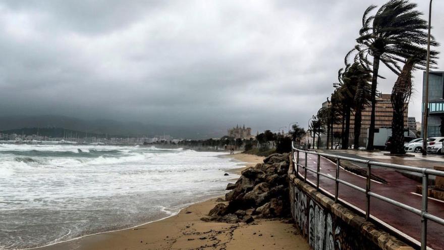 La playa de Can Pere Antoni de Palma, una de las zonas afectadas por el viento.