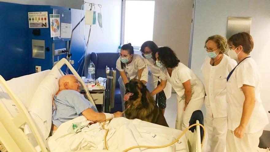Un paciente recibe la visita de su mascota en el hospital