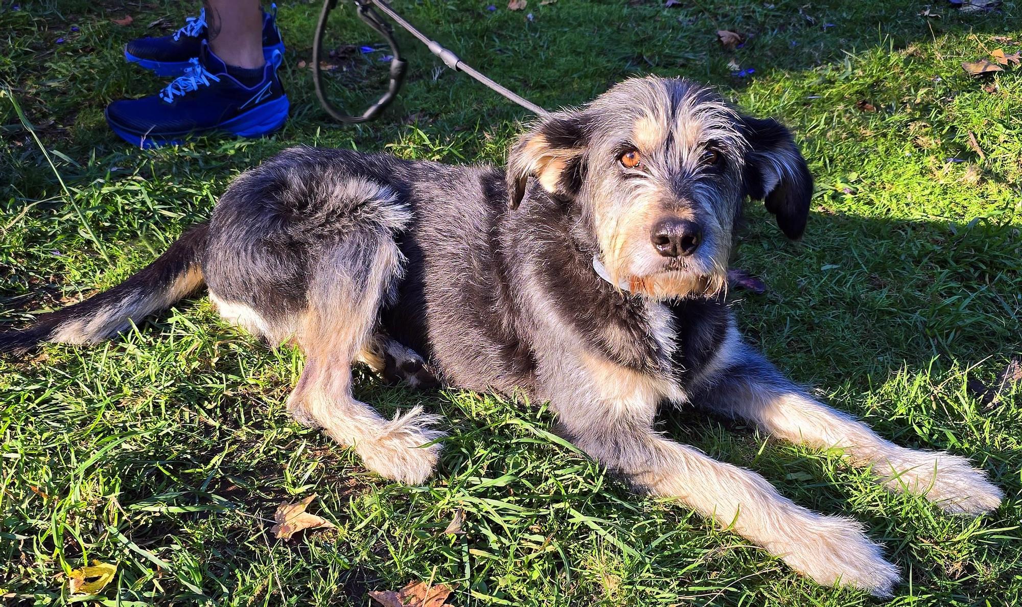 Récord de particpantes en el Trail Montes de Vigo