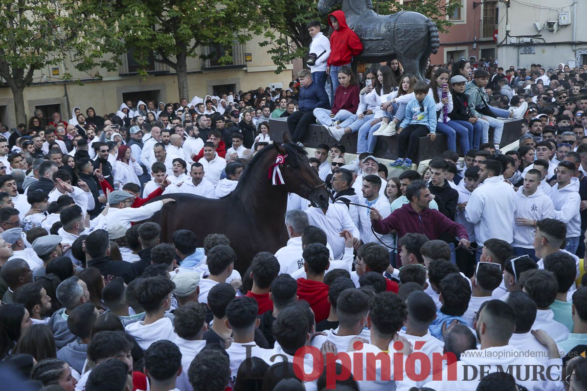 Entrega de premios del concurso de 'Caballo a pelo' en Caravaca