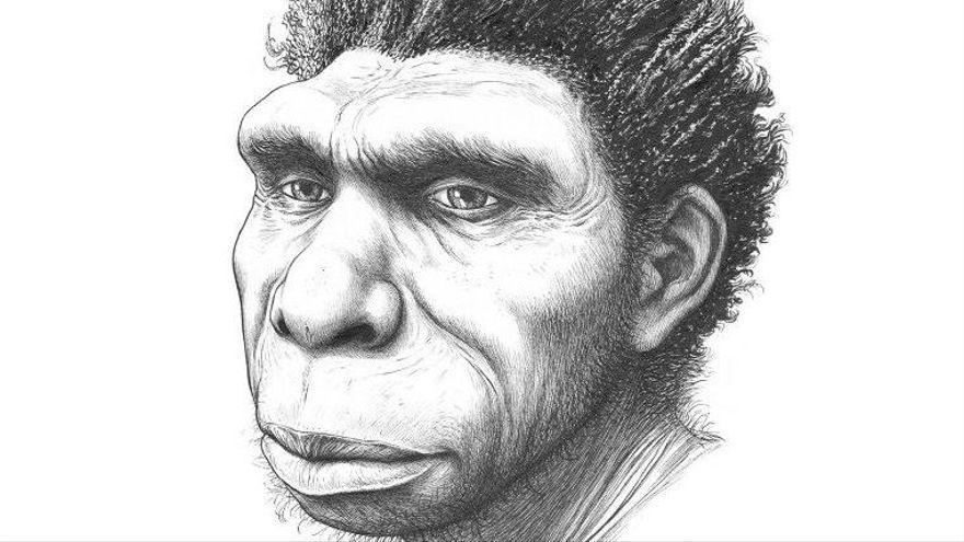 El Homo bodoensis, la nueva especie de ancestro humano