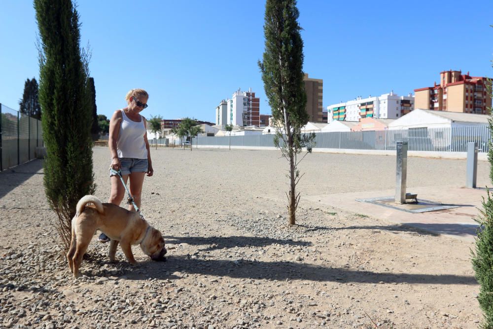 El parque canino sobre la mayor fosa común de la Guerra Civil