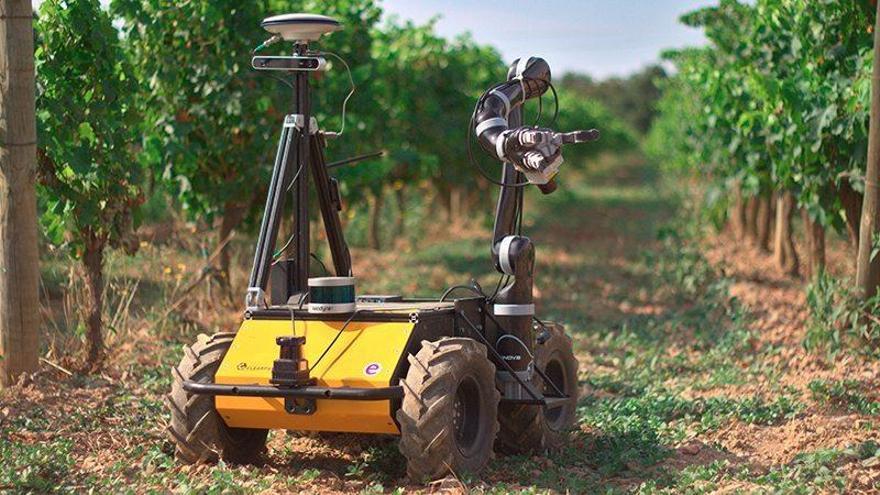 Un robot agrícola per controlar les vinyes.