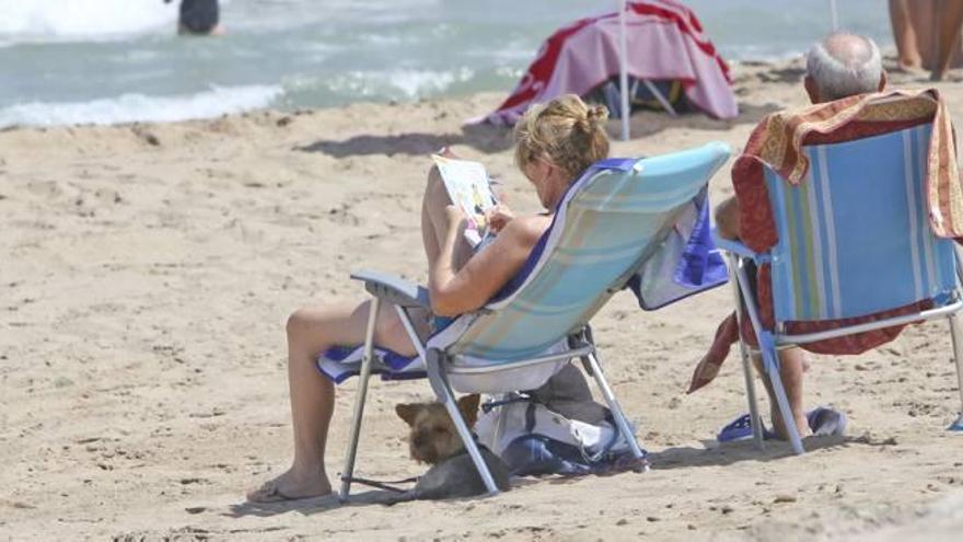 Piden a la alcaldesa que habilite una playa para perros en Agua Amarga
