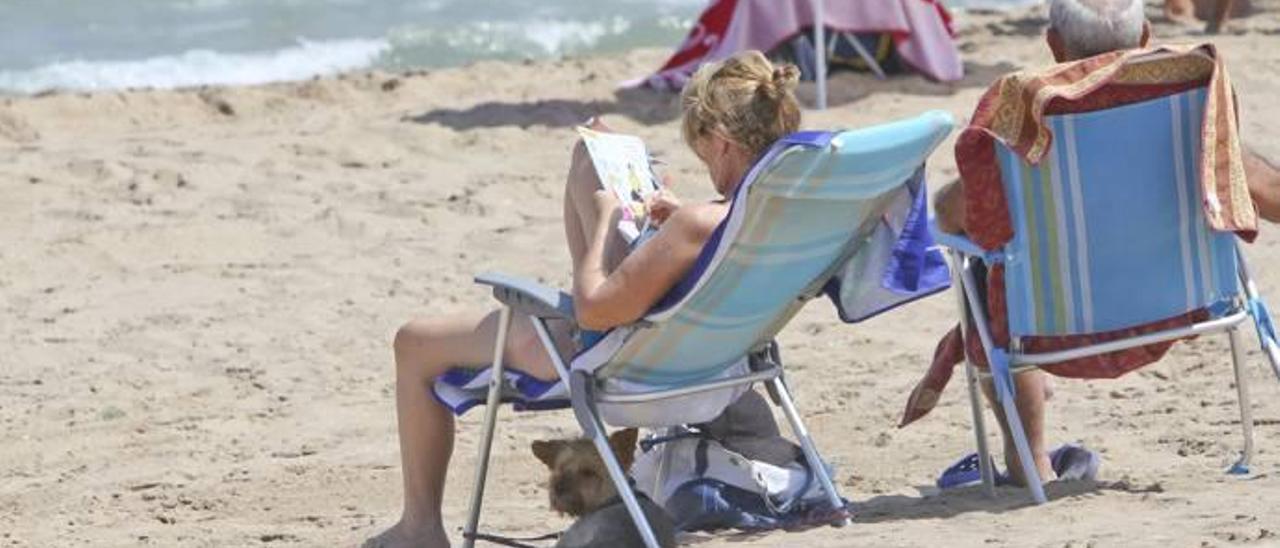 Piden a la alcaldesa que habilite una playa para perros en Agua Amarga