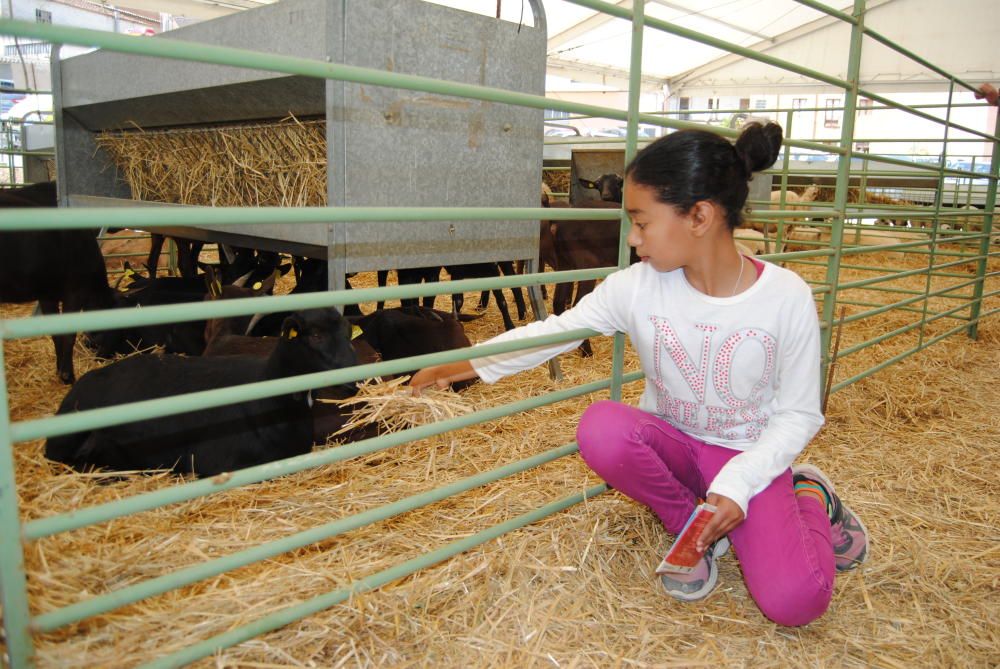 Segona jornada de la Fira de Sant Isidre a Solsona