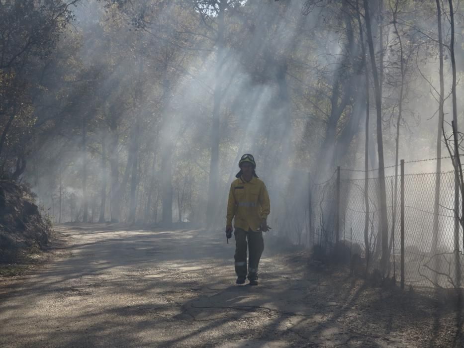 Waldbrand bei Puigpunyent