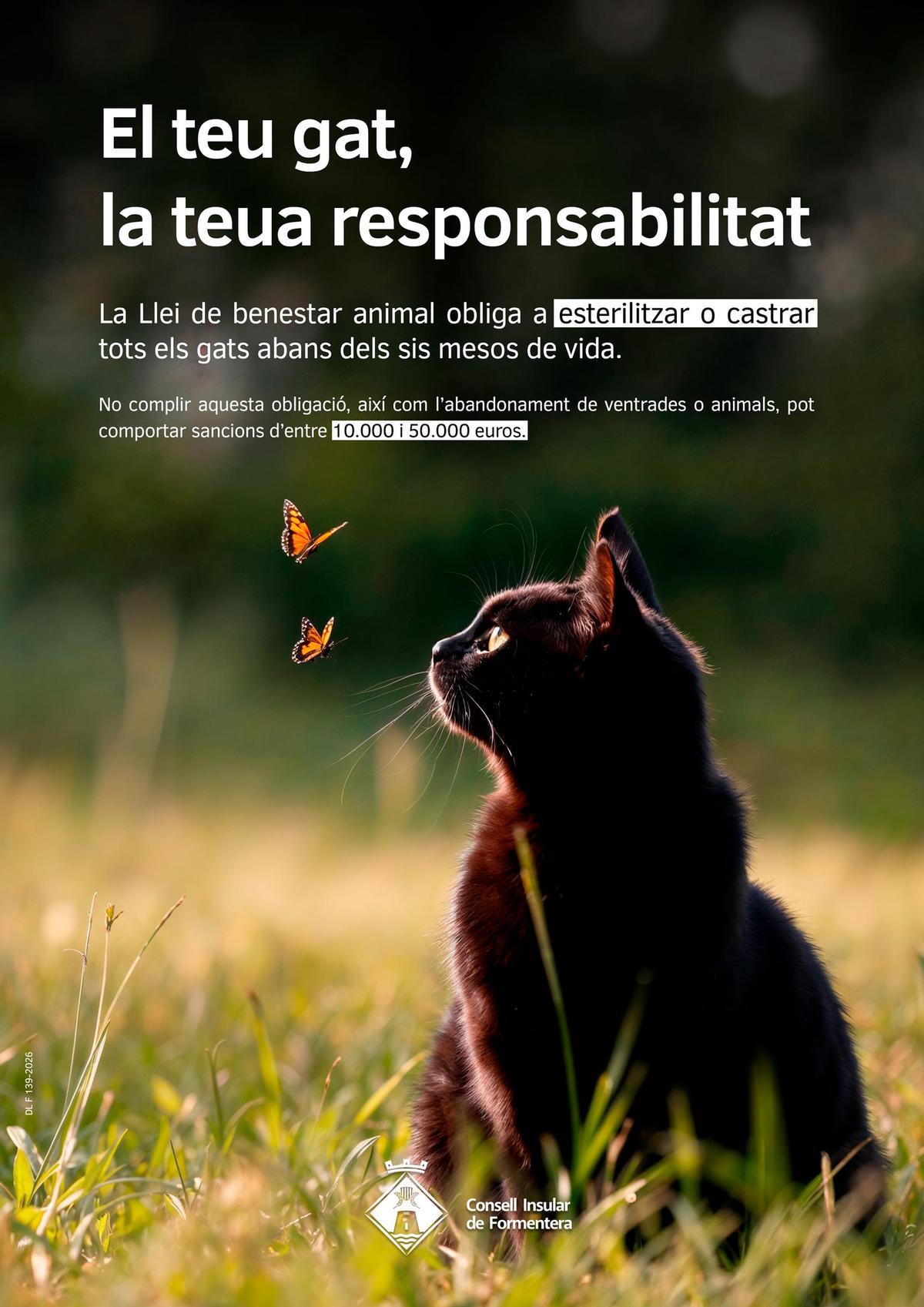 Cartel campaña para la castración de los gatos felinos.