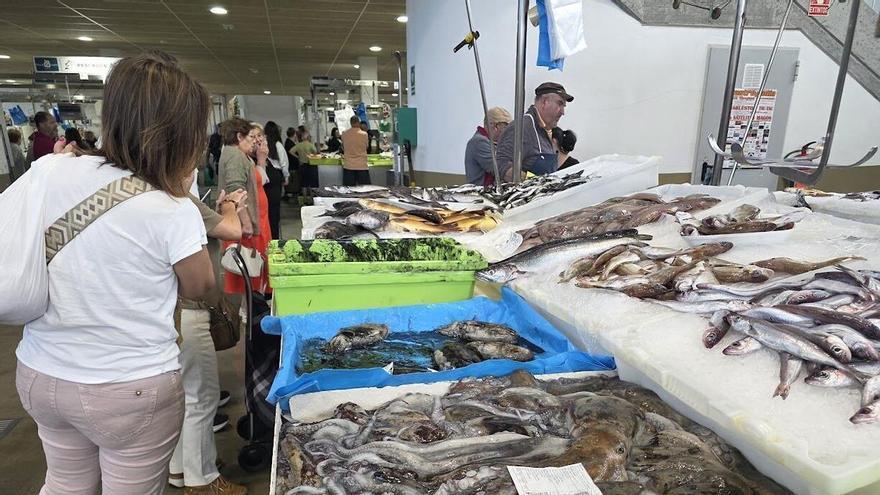 La escasez de pulpo en las lonjas gallegas se hace notar en las plazas de abastos