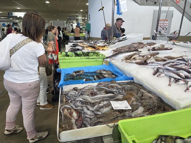 La escasez de pulpo en las lonjas gallegas se hace notar en las plazas de abastos