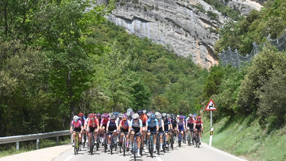 El pelotón, en la Vuelta a Burgos