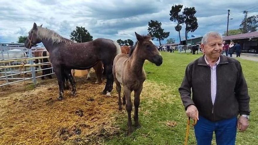 El análisis de Eliseo López, director de la Feria de San Isidro